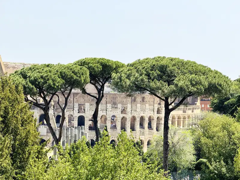 Eindrucksvolle Zeugen aus der Welthauptstadt der Antike begegnen uns auf unserer Romreise überall in der Stadt – allen voran das Kolosseum.