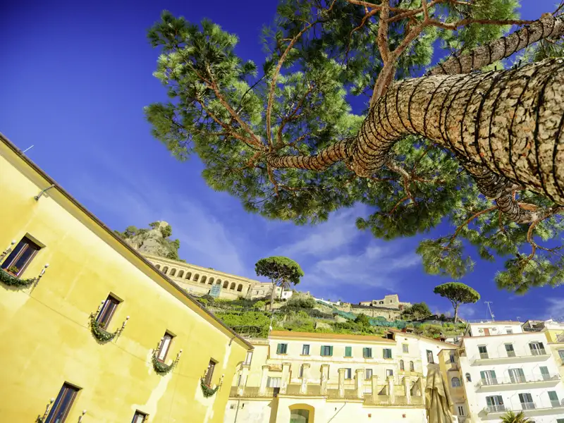 Gemeinsam schauen wir uns im farbenfrohen Städtchen Sorrent um, bevor wir auf unserer Studienreise weiterfahren in einen urigen Zitronenhain.