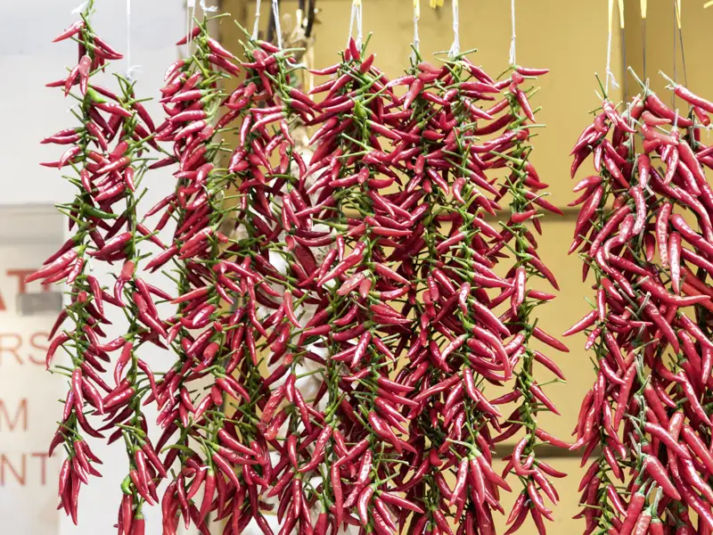 Auf unserer Studienreise an den Golf von Neapel freuen wir uns immer wieder über die ansprechende Dekoration der Geschäfte und Marktstände, die unter anderem gerne rote Peperoncini anbieten.