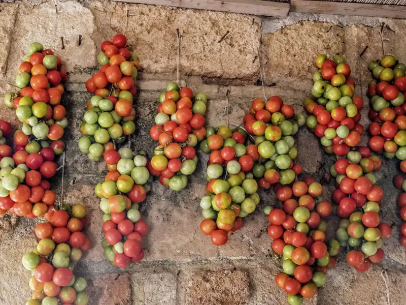 Studienreise zu den Höhepunkten Apuliens wie den Trulli und Castel del Monte. Besuch von Bari, Ostuni, Lecce, Matera und Otranto. Und die Kulinarik kommt nicht zu kurz; beileibe nicht nur die Vielfalt an Tomaten wird Sie begeistern.