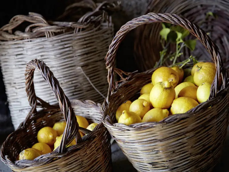Der perfekte Abschluss eines erlebnisreichen Tages in Sizilien: eine erfrischende Granita al Limone aus frisch geernteten Zitronen