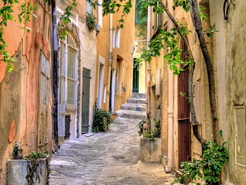 Auch wenn Saint-Tropez vor allem für seinen Luxus bekannt ist, hat es sich an vielen Stellen seinen ursprünglichen Charme erhalten. Ihr Studiosus-Reiseleiter kennt beide Seiten und führt Sie zu den schönsten Plätzen.
