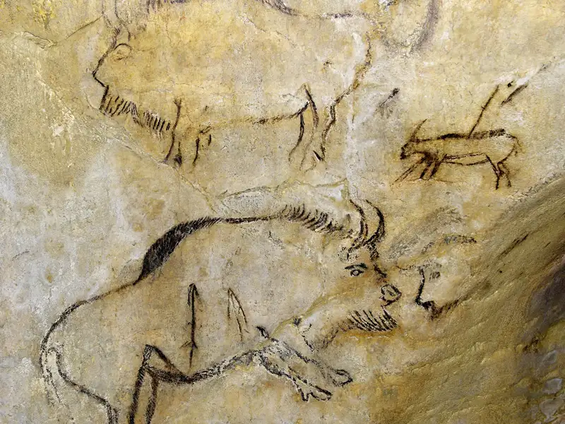 Prähistorische Höhlenmalereien von Tieren, darunter eines Bisons,  in der Grotte von Niaux - eines der vielen Ziele auf unserer zehntägigen Studienreise in das Languedoc und ins Roussillon.