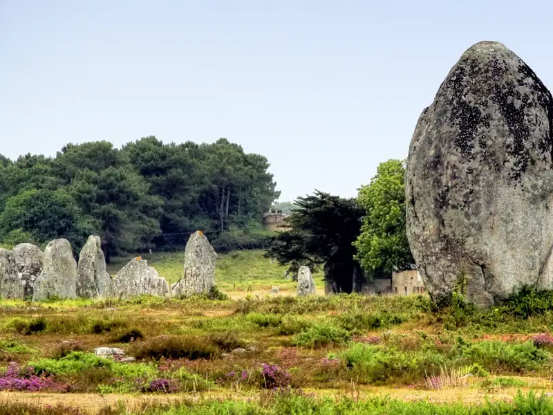 Pure Mystik auf unserer Rundreise durch die Bretagne: Tausende von Menhiren trotzen auf dem riesigen Steinfeld von Carnac seit etwa 6000 Jahren Wind und Wetter – und geben nach wie vor Rätsel auf.