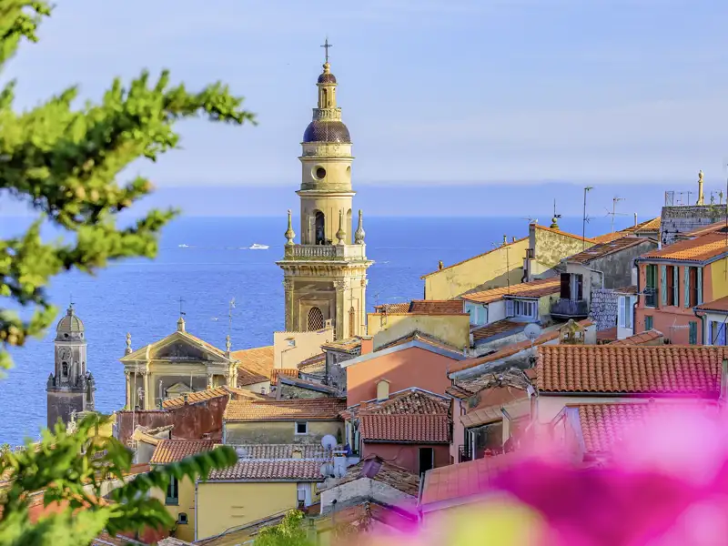 In Menton trifft italienisches Flair auf französischen Charme. Ihr Studiosus-Reiseleiter kennt die schönsten Winkel der malerischen Altstadt und führt Sie während unserer Studienreise an die Côte d'Azur in die farbenfrohe Markthalle, wo die kulinarischen Schätze der Region duftend und farbenfroh vereint sind.