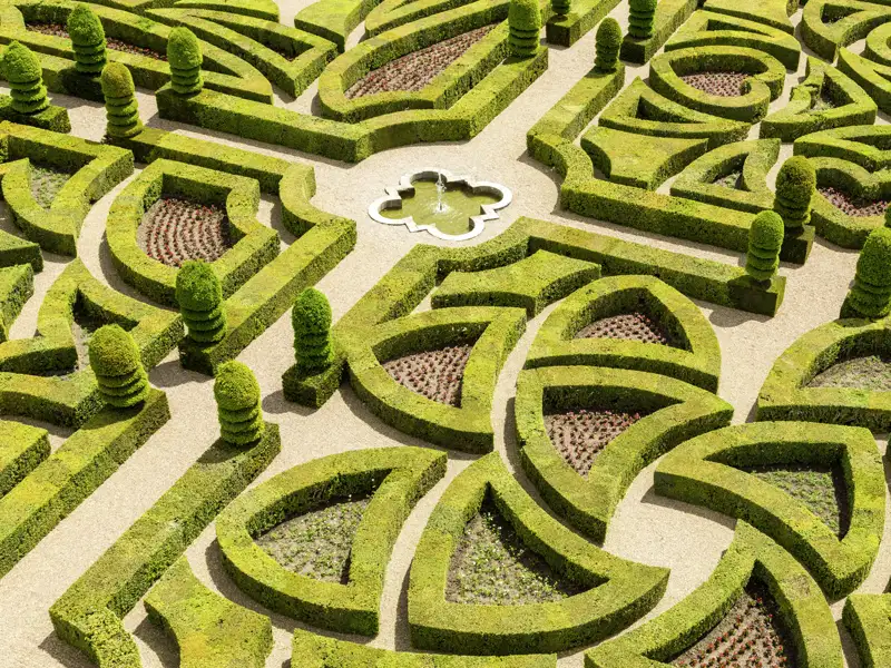 Gartenträume werden wahr auf unserer Reise an die Loire. Nicht nur beeindruckende Schlösser, sondern auch traumhafte Gartenanlagen sehen wir auf unserer Studienreise ins Loiretal und zur Ile-de-France.