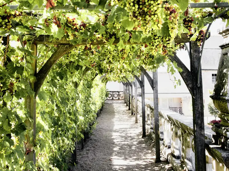 An der Loire warten unzählige romantische Plätze darauf, entdeckt zu werden. Kommen Sie mit auf unsere Studiosus-Reise nach Frankreich!