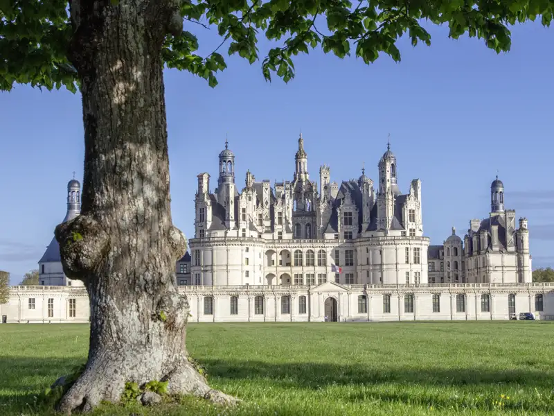 Das größte der Loireschlösser, Chambord, darf auf keiner Studienreise in diesen Teil Frankreichs fehlen. Fragen Sie Ihren Studiosus-Reiseleiter, warum ihnen bei der Besichtigung immer wieder ein Salamander "begegnet".