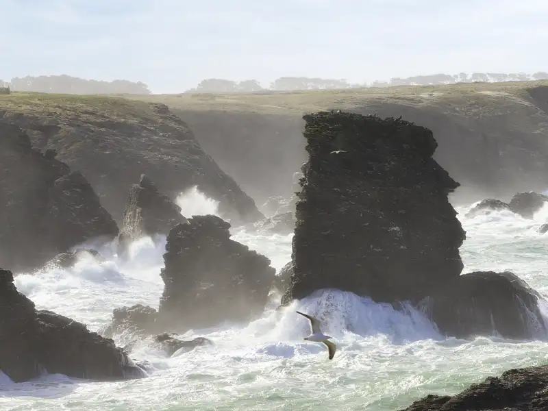 Die Küsten der Bretagne: mal lieblich, mal rau - und immer schön, wie wir auf unserer Rundreise mit Studiosus feststellen.