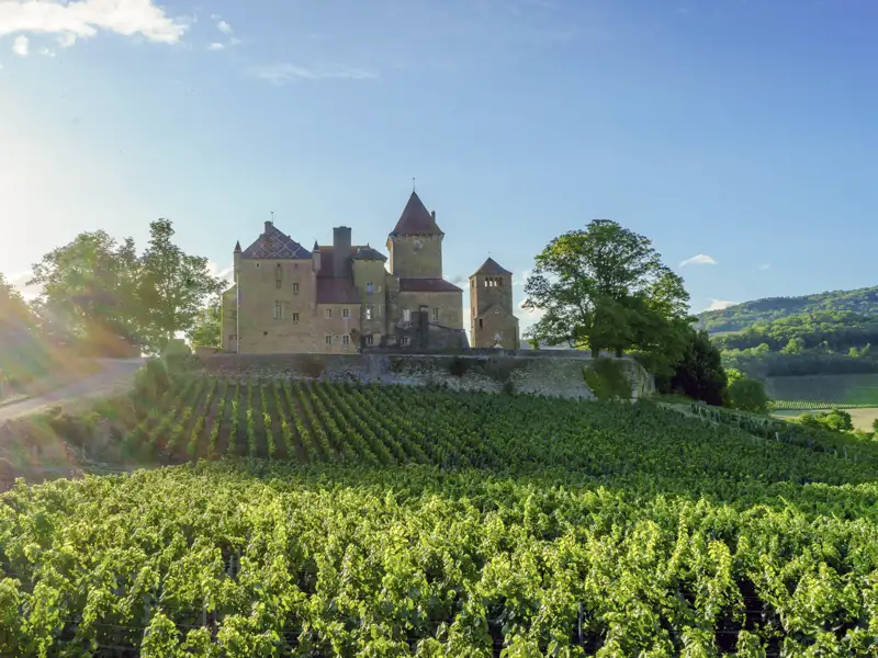 Vor allem die Côte d'Or, die Goldküste, hat unter Weinkennern einen legendären Ruf. Auf Ihrer Rundreise durchs Burgund haben Sie natürlich auch Gelegenheit, einige der dort erzeugten Weine zu probieren.