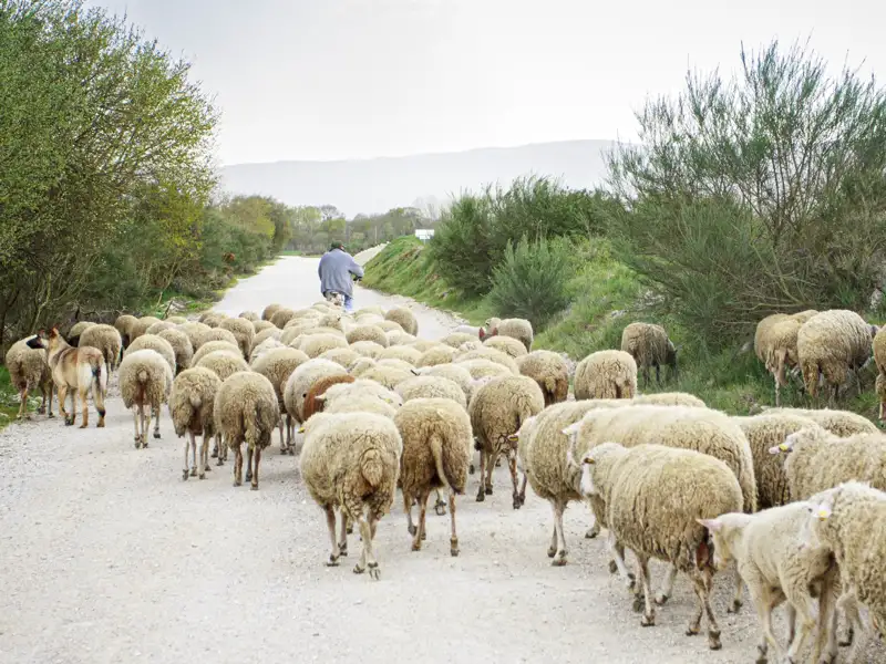 Entdecken Sie auf dieser Studienreise nach Galicien in neun Tagen mit Studiosus-Reiseleitung den ursprünglichen Nordwesten Spanien!