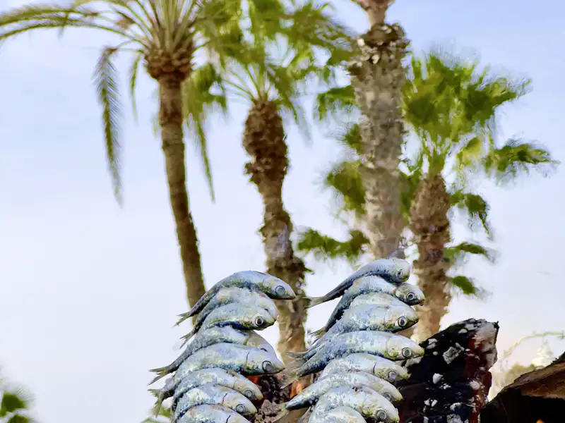 Gegrillte Sardinen auf Spießen vor Palmenhintergrund.