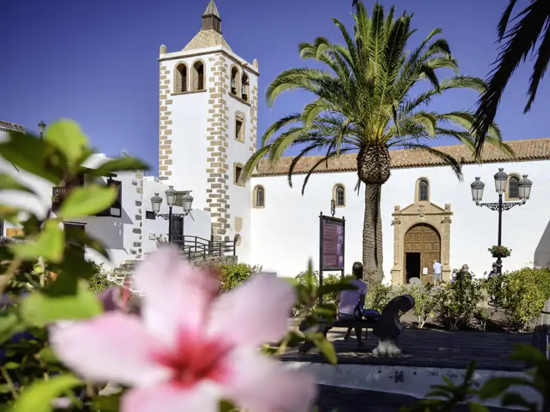 Auf der Studiosus-Reise nach Fuerteventura und Lanzarote entdecken wir neben Fuerteventuras Wüstenlandschaften auch kulturelle Sehenswürdigkeiten, wie die alte Hauptstadt Betancuria mit ihrer Kirche aus dem frühen 15. Jahrhundert.
