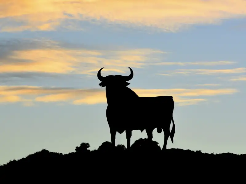 Mit Studiosus-Reiseleitung in elf Tagen auf klassischer Route zu den Kunstschätzen Andalusiens geht es auf unserer Klassik-Studienreise Andalusien - Morgenland und Abendland. Nationalsymbol in Spanien ist übrigens der Osborne-Stier, die Silhouette eines Stiers.
