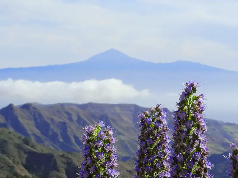Auf der Naturerlebnis-Studienreise auf die Kanarischen Inseln überrascht Sie Ihre Studiosus-Reiseleitung immer wieder mit atemberaubenden Ausblicken wie hier von La Gomera auf die Nachbarinsel Teneriffa mit dem Pico del Teide.