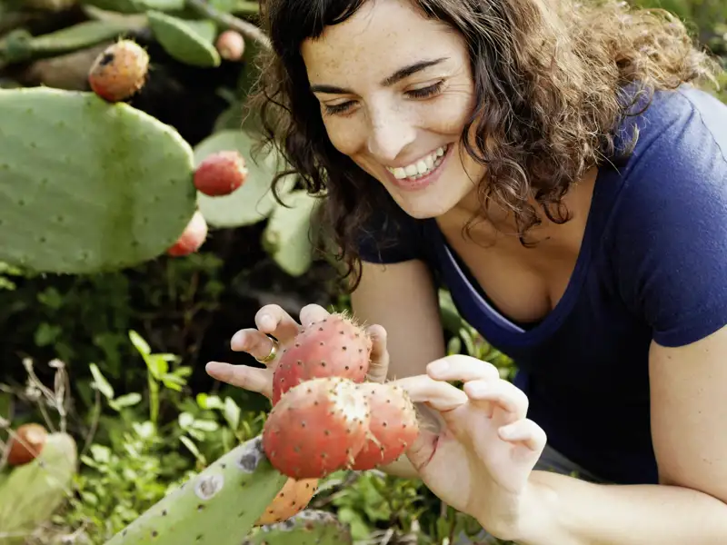 Ihre Studiosus-Reiseleitung zeigt Ihnen auf dieser Naturerlebnis-Studienreise die Naturschätze der Kanarischen Inseln - allein zum Baden sind die Inseln viel zu schade!