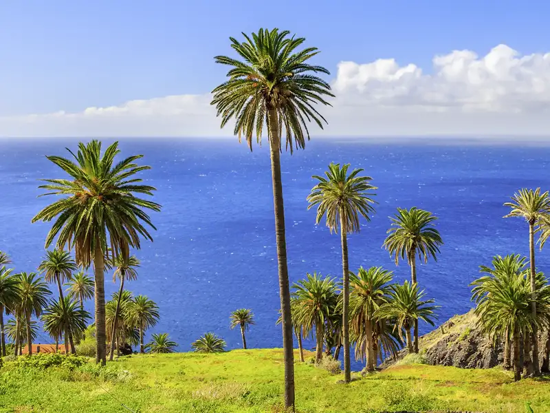 Grün, steil und terrassiert: Auf unserer Rundreise über die Kanaren entdecken Sie gemeinsam mit Ihrer Studiosus-Reiseleitung den fruchtbaren Norden von La Gomera mit seinen gigantischen Ausblicken auf den Atlantik.