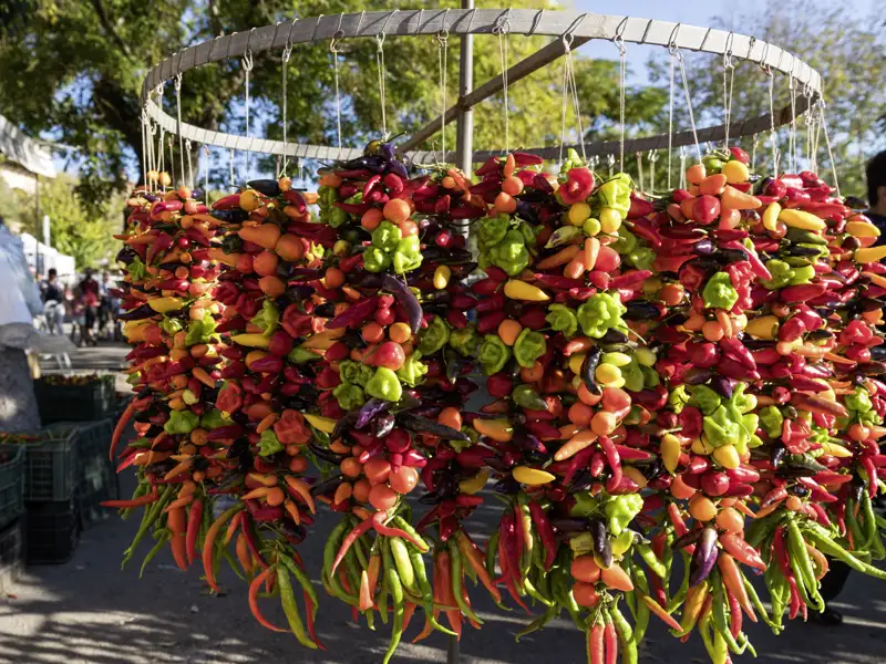 Ein Feuerwerk aus Farben und Aromen erwartet uns auf dem Markt von Alcúdia – nur eines der kulinarischen Erlebnisse auf unserer achttägigen Wanderstudienreise nach Mallorca.