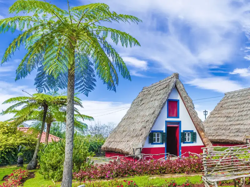 Auf unserer Rundreise auf Madeira besuchen wir u.a. das kleine Dorf Santana, bekannt für seine wunderlichen, hübschen strohgedeckten Häuser.