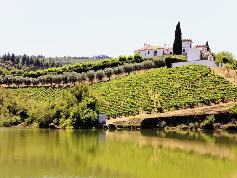 Auf unserer Wanderreise durch Portugal kommen auch die Genüsse nicht zu kurz. In der weltbekannten Weinbauregion am Douro machen wir eine Weinprobe.