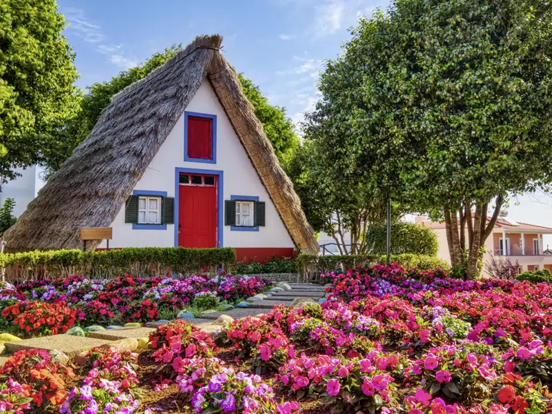 Auf unserer Gruppenreise nach Madeira sehen wir in der Region um Santana bestimmt die traditionellen Häuser mit Strohdach.