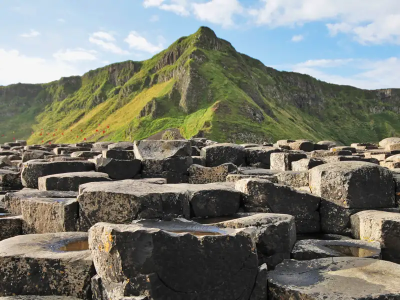 Auf unserer Rundreise durch Irland und Nordirland wandern wir auch am berühmten Giants Causeway. Wir gönnen uns eine Nahaufnahme der Basaltsäulen am Giant's Causeway.