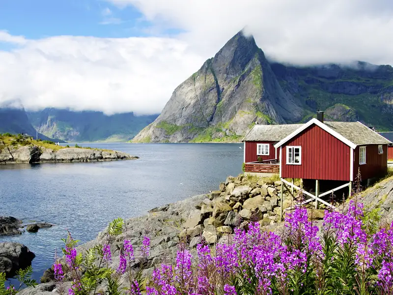 Auf unserer 11-tägigen Studienreise durch Lappland besuchen wir auch die Lofoten. Die roten Fischerhütten, die Rorbuer genannt werden, sehen wir dort in jedem Ort.