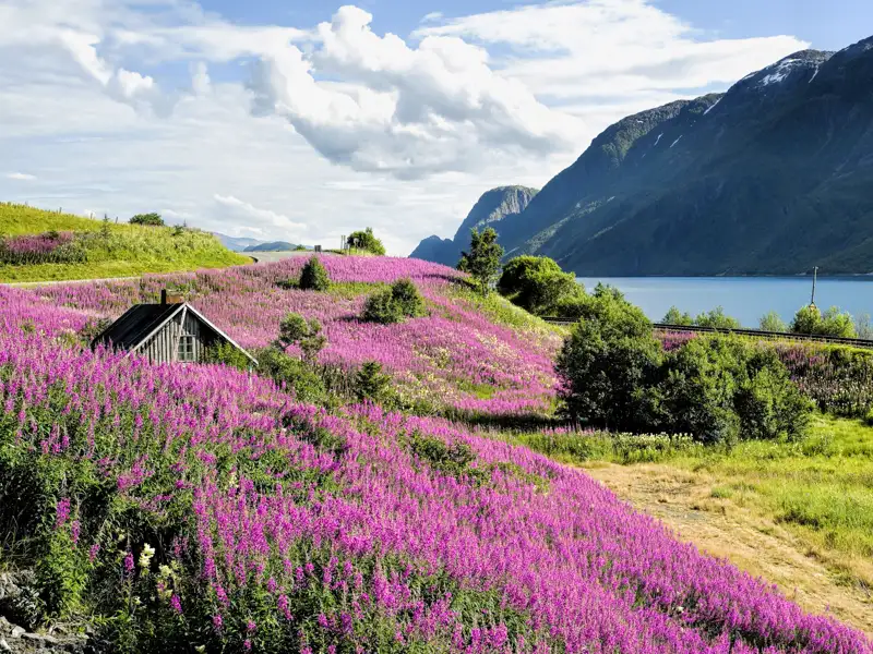Mit einer Tiefe von 1300 Metern ist der Sognefjord nicht nur der tiefste Fjord Europas, sondern auch der längste: Er erstreckt sich über 204 Kilometer.