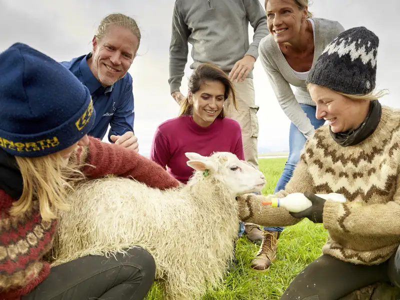 Reisende erleben die Landwirtschaft hautnah und füttern ein Lamm mit der Flasche.