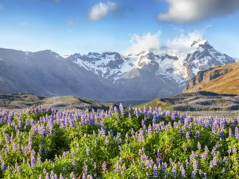 Während unserer Studienreise durch Island erleben wir spektakuläre Landschaften wie den Skaftafell mit seinen Gletschern.