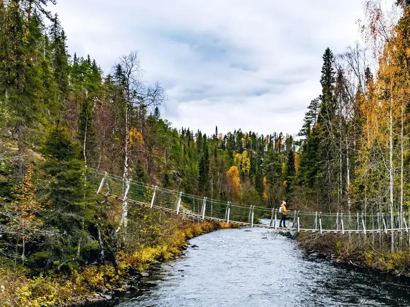 Im Oulanka-Nationalpark gehen wir gemeinsam auf eine Wanderung.