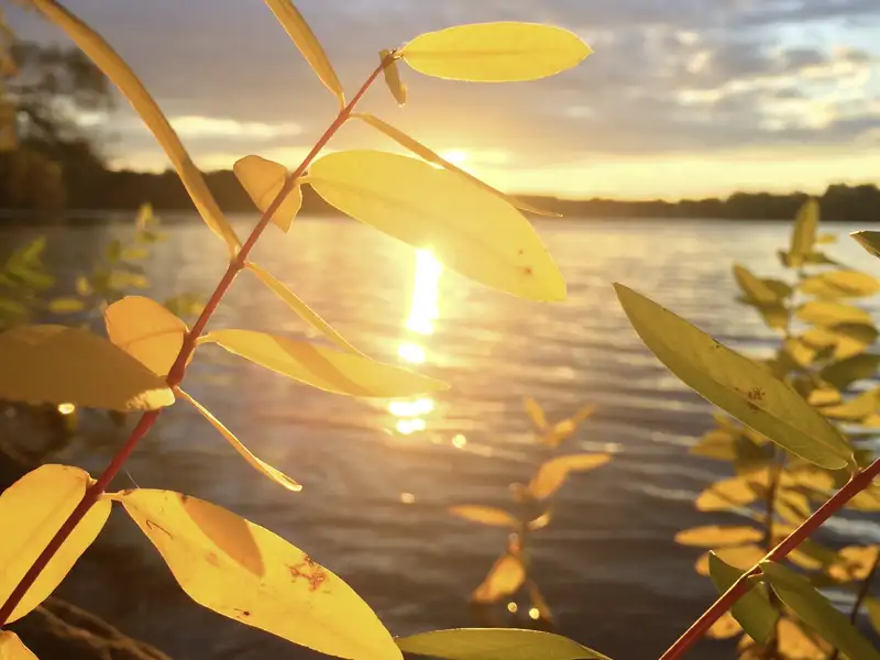 Die finnischen Seen funkeln uns auf dieser Reise immer wieder entgegen.