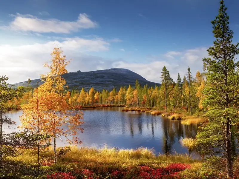 Auf dieser Reise zur Herbstlaubfärbung, in Finnland Ruska genannt, genießen Sie prächtig gefärbte Natur in vollen Zügen.