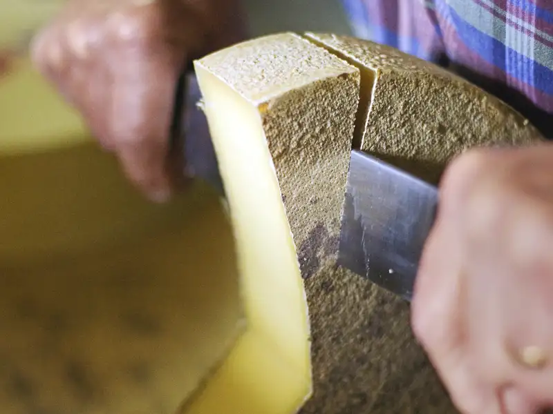 Auf dem Programm dieser acht- bzw. zehntägigen Studienreise durch die Schweizer Bergwelt stehen faszinierende Landschaften und kulinarische Highlights wie der Schweizer Käse.