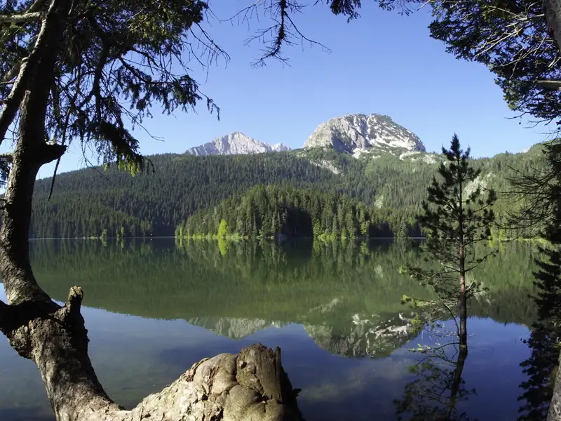 Im Durmitor- und Tara-Nationalpark (UNESCO-Welterbe) begrüßt uns auf unserer Studienreise Montenegro - im Land der schwarzen Berge eine Bauernfamilie auf ihrem Hof, erzählt vom ländlichen Bioboom und reicht das eine oder andere Hausgemachte.