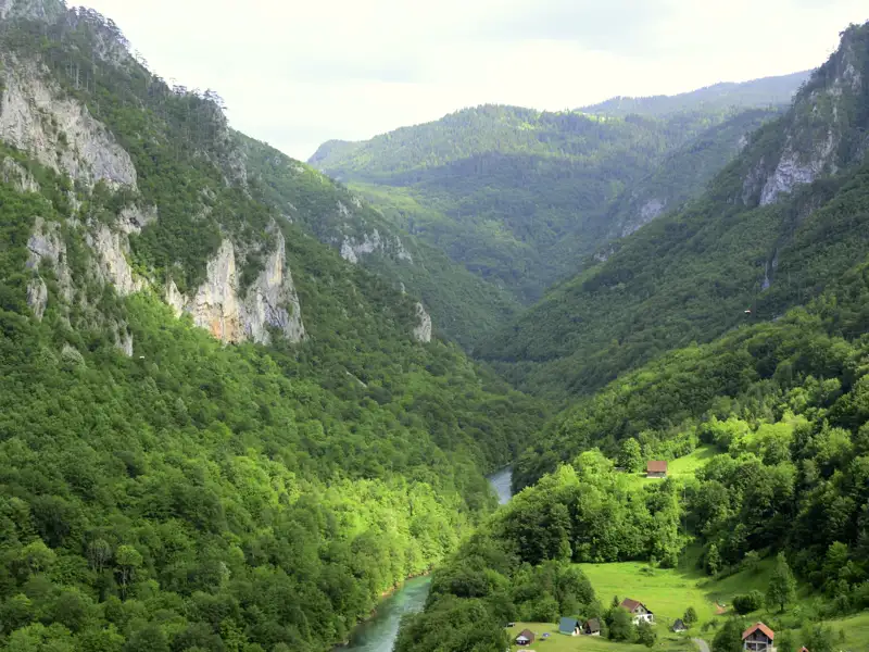 Die beeindruckende Taraschlucht: einer der Höhepunkte unserer achttägigen Studienreise durch Montenegro.