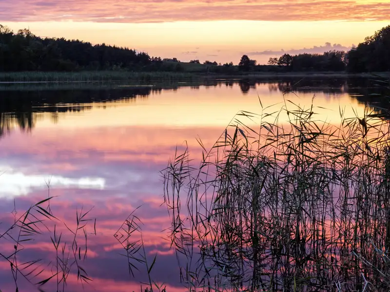 Auf dieser Studienreise durch Polen entdecken Sie die Schönheit der masurischen Landschaft mit ihren Seen und Wäldern.