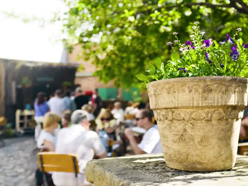 Auf unserer Studiosus-Reise genießen wir in Krakau die Straßencafés der modernen Metropole.