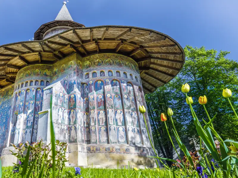 Fresken an der Außenwand der Kirche des heiligen Georg, umgeben von blühenden Tulpen. Die Kirche gehört zum Kloster Voronet, ein Kleinod unter den Moldauklöstern, das wir auf unserer Rundreise durch Rumänien besichtigen.