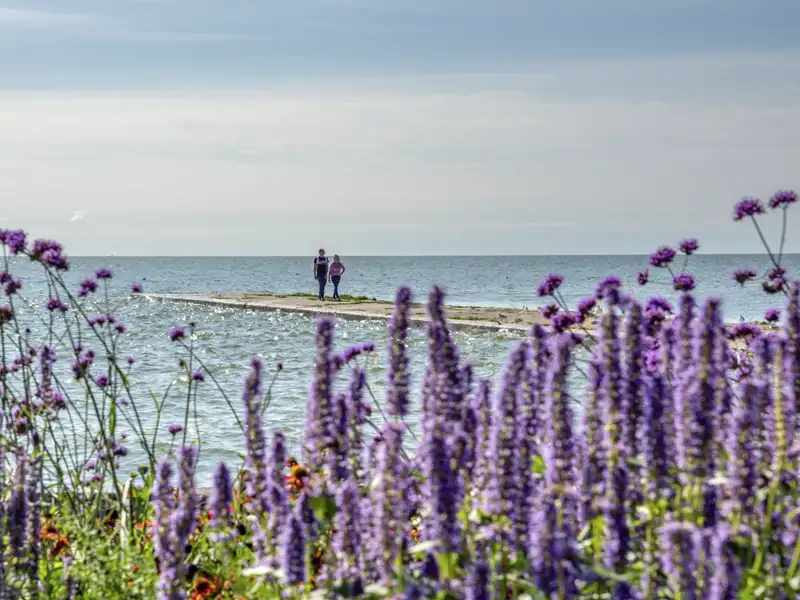 Während unserer Gruppenreise durch das Baltikum verbringen wir einen Tag auf der Kurischen Nehrung (UNESCO-Welterbe).