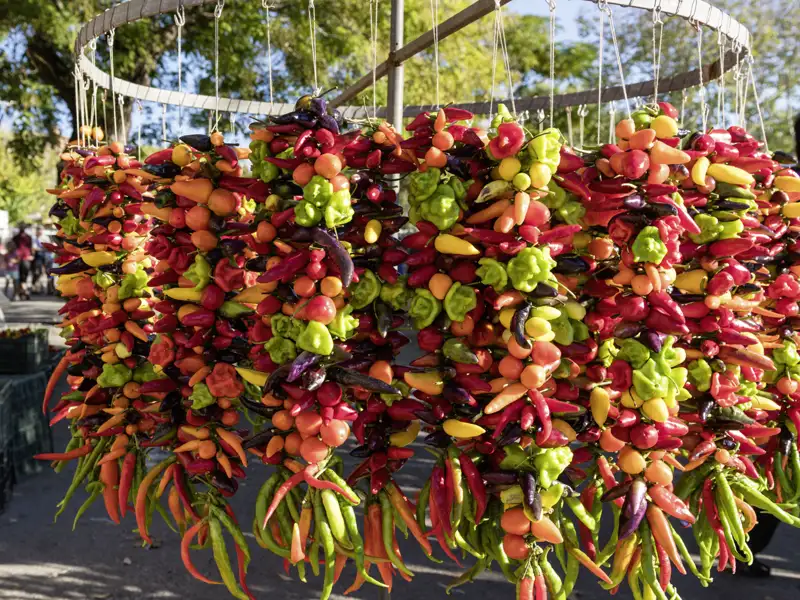 Ein Feuerwerk aus Farben und Aromen erwartet uns auf dem Markt von Palma - nur eines der kulinarischen Erlebnisse auf unserer Studiosus-Reise nach Mallorca.