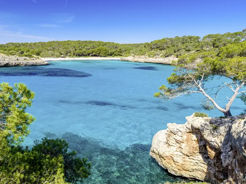 Mallorca genussvoll erleben – entdecken Sie auf dieser Studiosus-Reise malerische Buchten und Strände, zum Beispiel auf einem entspannten Spaziergang im Naturpark Mondragó.