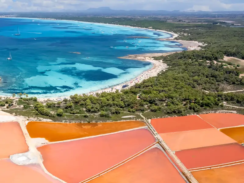 Umgeben von einem Naturschutzgebiet wird in den Salinen von Es Trenc das "weiße Gold" Mallorcas gewonnen. Wir genießen die Meeresbrise und lassen uns verraten, was das Flor de Sal so kostbar macht – nur einer der vielen genussvollen Momente auf der Studiosus-Reise nach Mallorca.