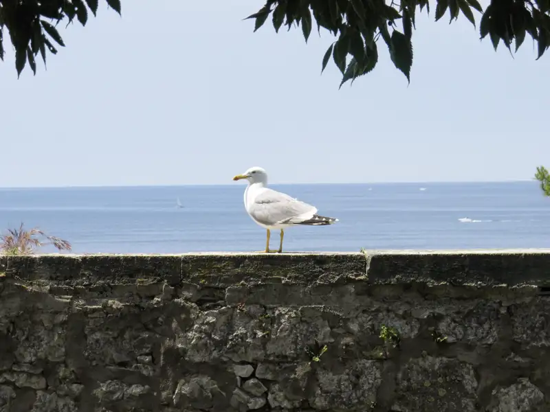 Auf unserer Studienreise nach Slowenien und Istrien im Komfortbus erholen wir uns auch manchmal am Strand.