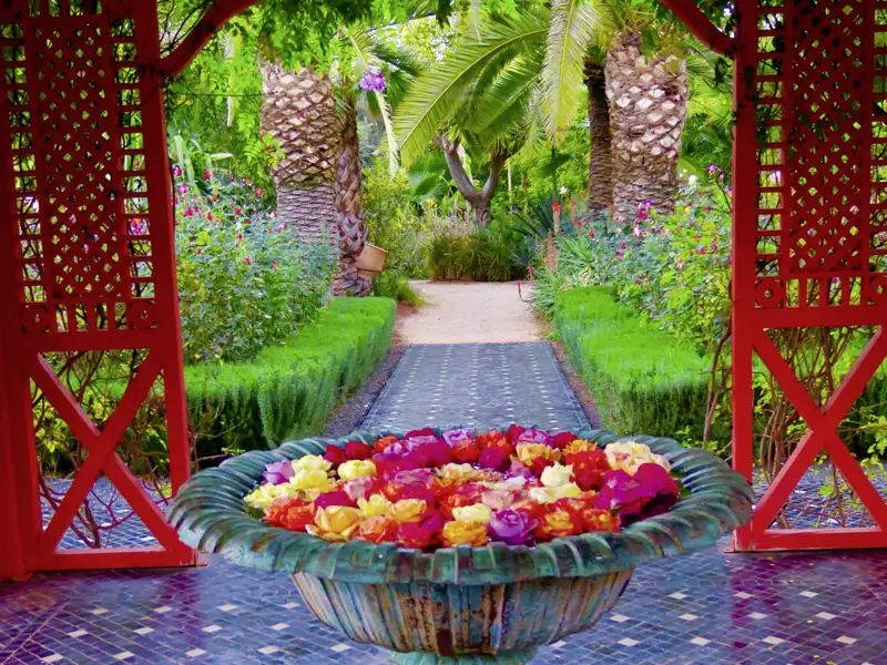 Auf unserer Silvesterreise durch Marrakesch besuchen wir den Anima Garten und bestaunen einige bunte und interessante Pflanzen