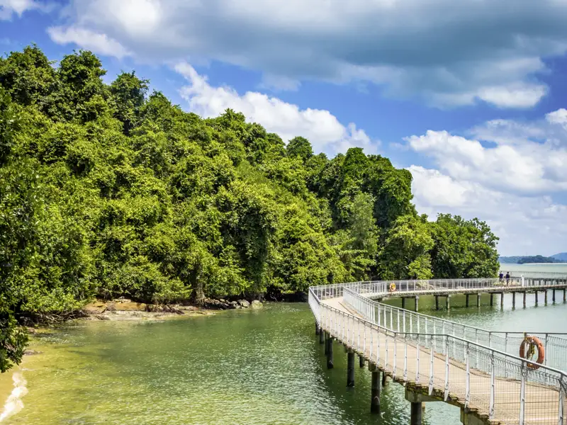 Gemeinsam entfliehenn wir auf unserer Gruppenreise der Großstadt und erkunden die kleine Insel Pulau Ubin