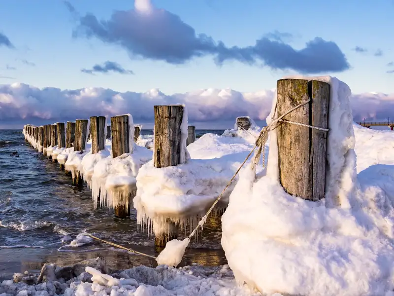 Entdecken Sie verschneite Holzpfähle an der Küste der Ostsee auf Ihrer Gruppenreise mit Studiosus.