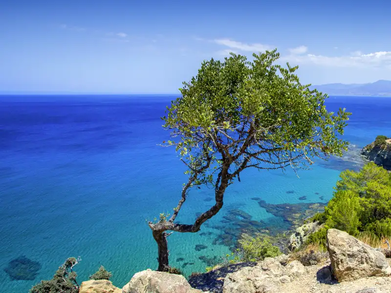 Zyperns Küsten sind mal wild, mal sanft. Auf unserer Studienreise genießen wir immer wieder traumhafte Ausblicke auf das Meer.