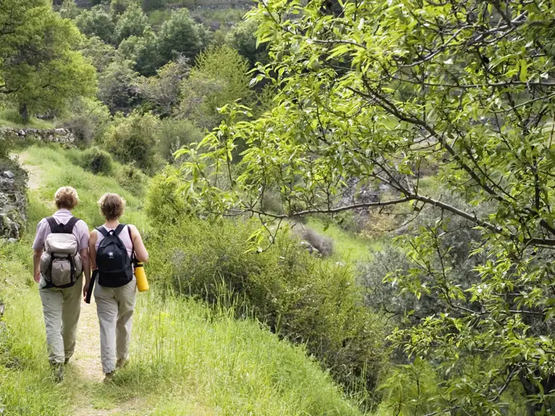 Auf unserer Gruppenreise mit Studiosus genießen wir die Natur im Troodos Gebirge auf Zypern bei einer Wanderung