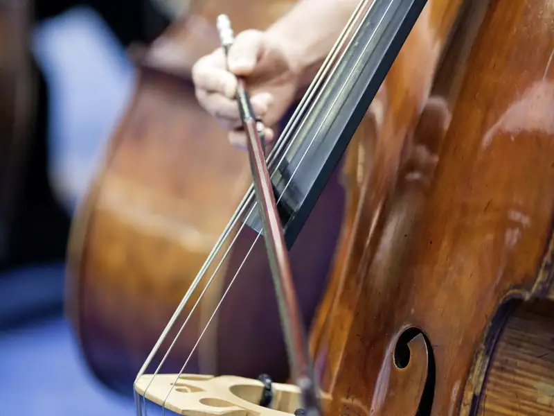 Detailaufnahme eines Cellisten, der sein Instrument spielt, als Beispiel für eine kulturelle Leistung, die im Rahmen der Reise angeboten wird.